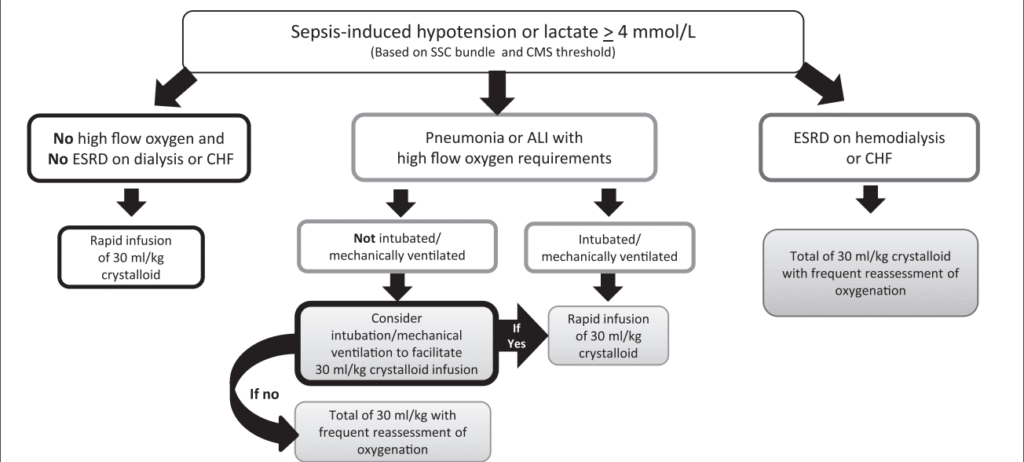 alur resusitasi cairan pada sepsis
